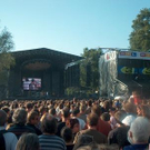 640078.jpg