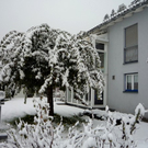 P1050403.jpg