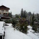 P1050410.jpg