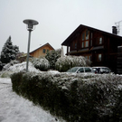 P1050415.jpg