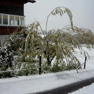 P1050416.jpg