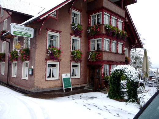 P1050422.jpg