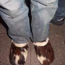 709055.jpg