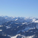 723428.jpg