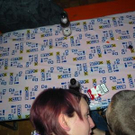 735333.jpg