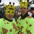 740152.jpg