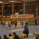 749742.jpg