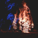 750439.jpg
