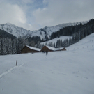 IMG_3034.JPG