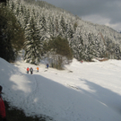 IMG_3039.JPG