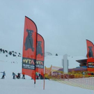 754290.jpg