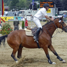 CLARISSA_0250.JPG