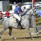 _DSC07860006.JPG