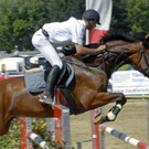 _DSC08100011.JPG