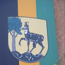 801858.jpg