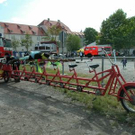 802363.jpg