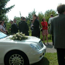 804945.jpg