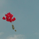 804950.jpg