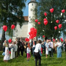 804954.jpg