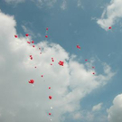 804955.jpg