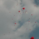 804956.jpg