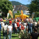 827002.jpg