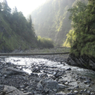 Rankweil trifft Vorkehrungen beim Hochwasserschutz