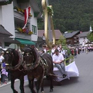 839025.jpg