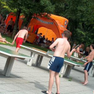 843056.jpg