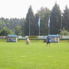 852434.jpg