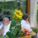 856746.jpg