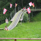 857675.jpg