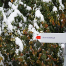 Wegweiser - Schneiderkopf 2_ 10_2009.JPG
