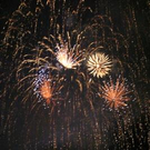 870384.jpg