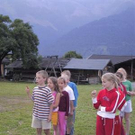 870793.jpg