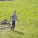 870799.jpg