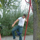875557.jpg