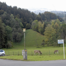 _DSC00130006_2.JPG
