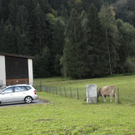 _DSC00070003.JPG