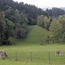 _DSC00090004.JPG