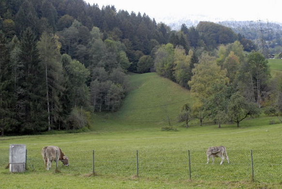 _DSC00090004.JPG