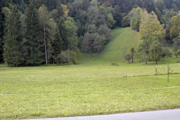_DSC00200007.JPG