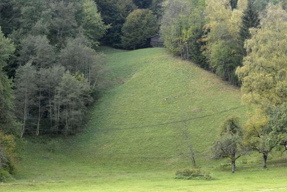 _DSC00100005.JPG