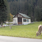 _DSC00010001.JPG