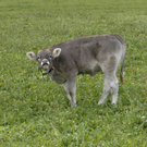 _DSC00040002.JPG