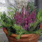 _DSC02760003.JPG
