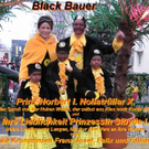 Fluhar Nollatrüllarball