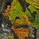 _DSC00350010.JPG