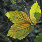 _DSC00640018.JPG