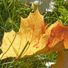 _DSC00820024_1.JPG